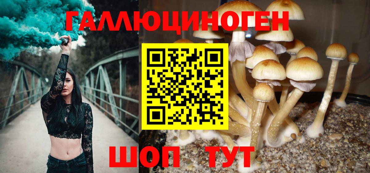 Галлюциногенные грибы Cubensis Ногинск